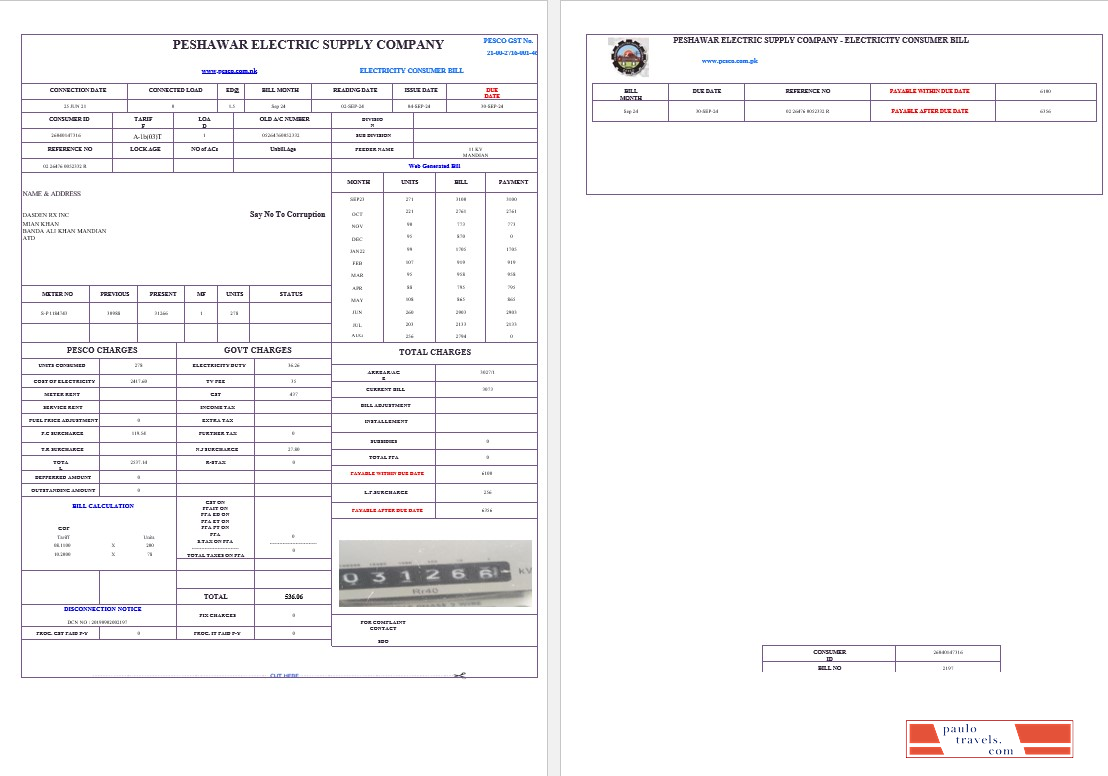 PAKISTAN PESHAWAR ELECTRIC SUPPLY COMPANY business utility bill Word and PDF template PSD template